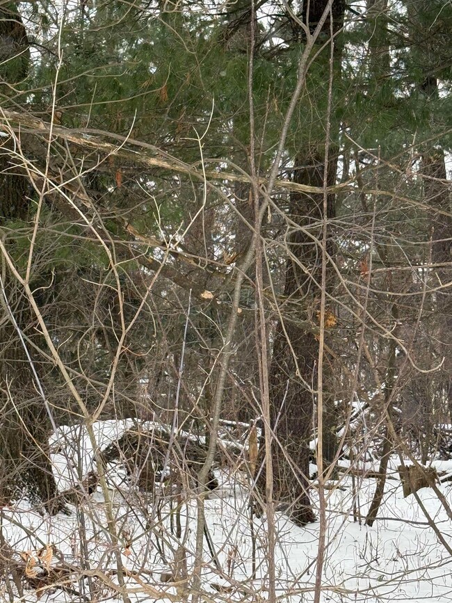 2007 Bloedel Ave, Weston, WI 54476 - photo 6