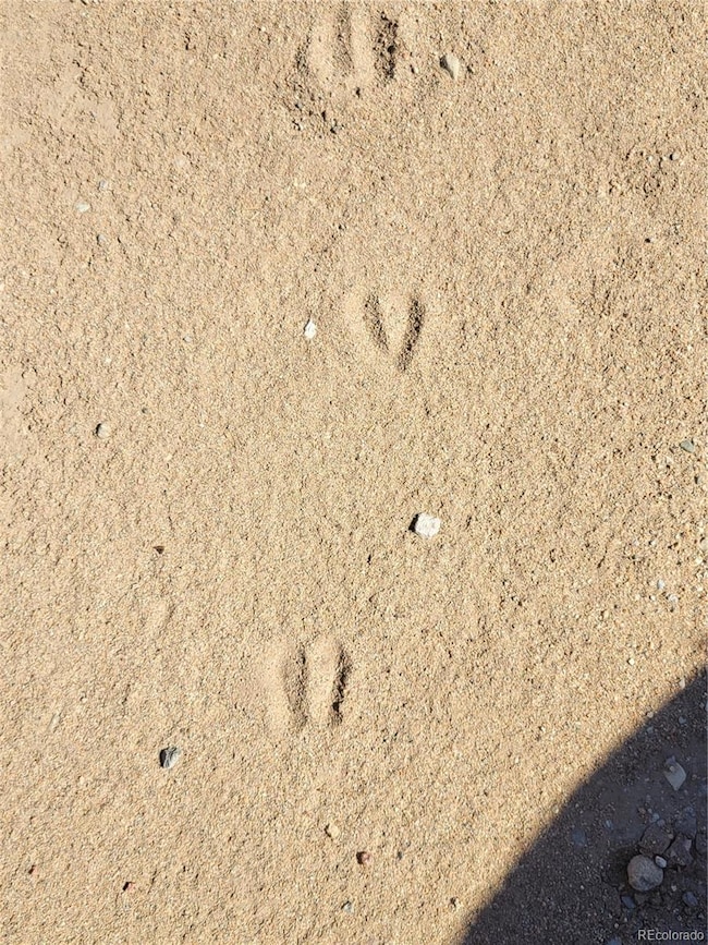 Four-footed friends!