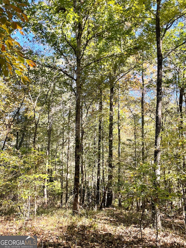 0 Highway 36 E unit 10652520, Jackson, GA 30233 - photo 6