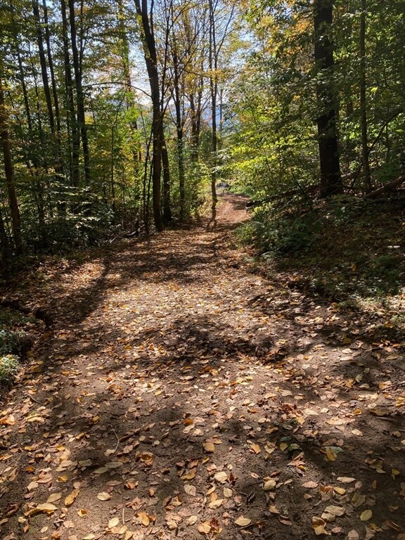 0 Maxwell Rd unit 73272836, Charlemont, MA 01339 - photo 3