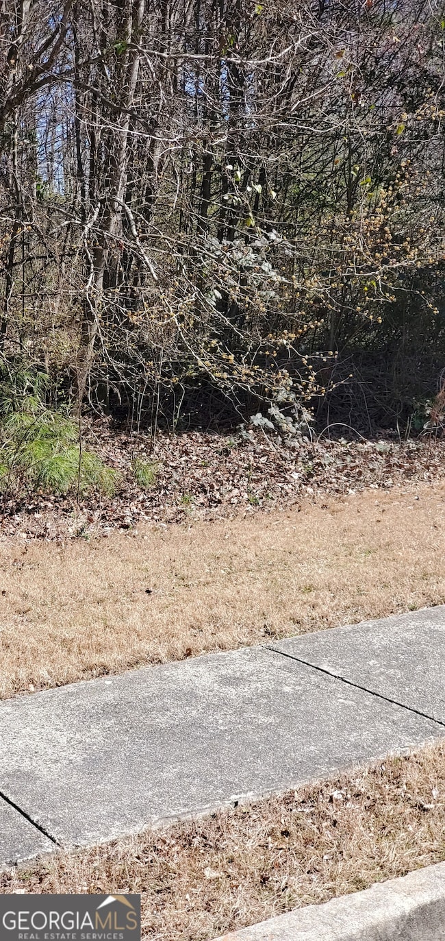 3447 Tiffany Cove Dr, Loganville, GA 30052 - photo 2