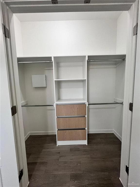 Walk in closet featuring dark hardwood / wood-style flooring