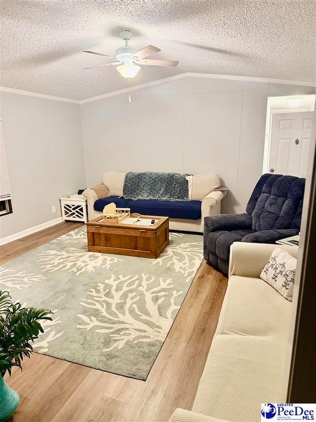 3709 State Road S-34-502, Mullins, SC 29574 - photo 3