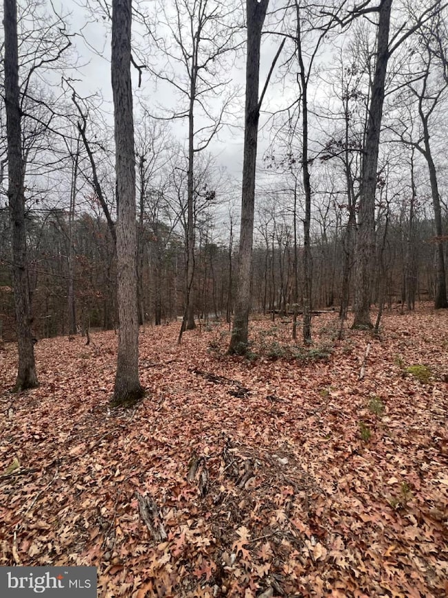 Lot 6 Hummingbird La 0, Star Tannery, VA 22654 - photo 4