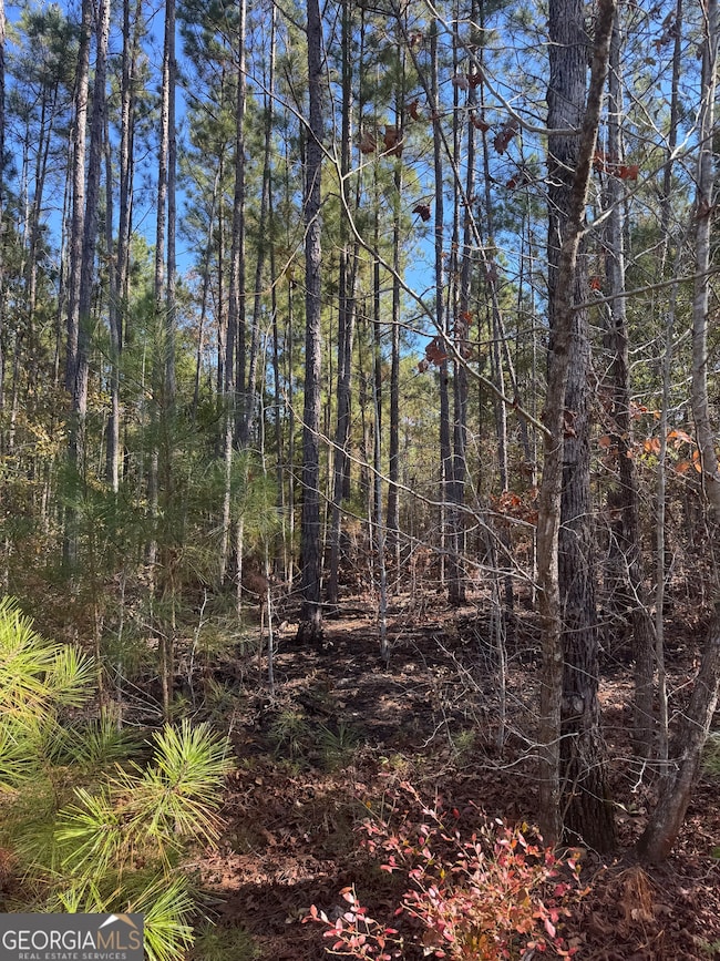 143 W Drummond Rd, West Point, GA 31833 - photo 3