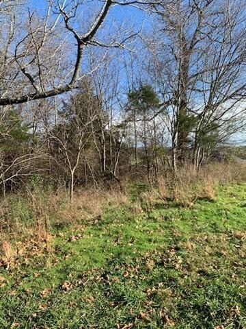 0 Park Ridge Dr, Township 2, AR 72745 - photo 3