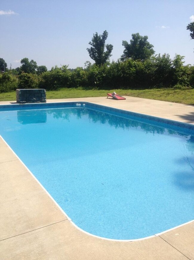 Beautiful in ground pool for family fun