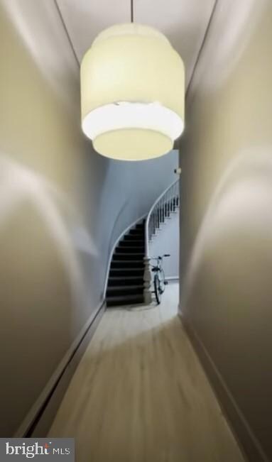 921 Saint Paul St unit B1, Baltimore, MD 21202 - photo 6