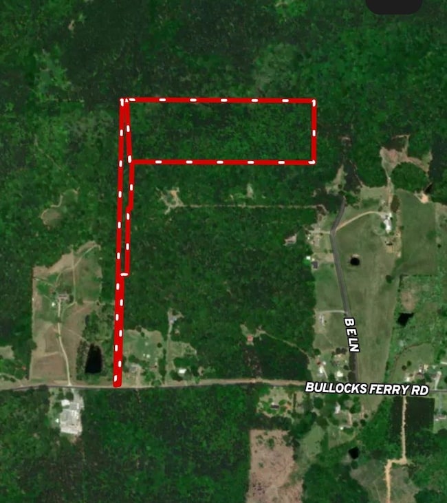 0 Bullocks Ferry Rd unit 21222623, Alpine, AL 35014 - photo 2