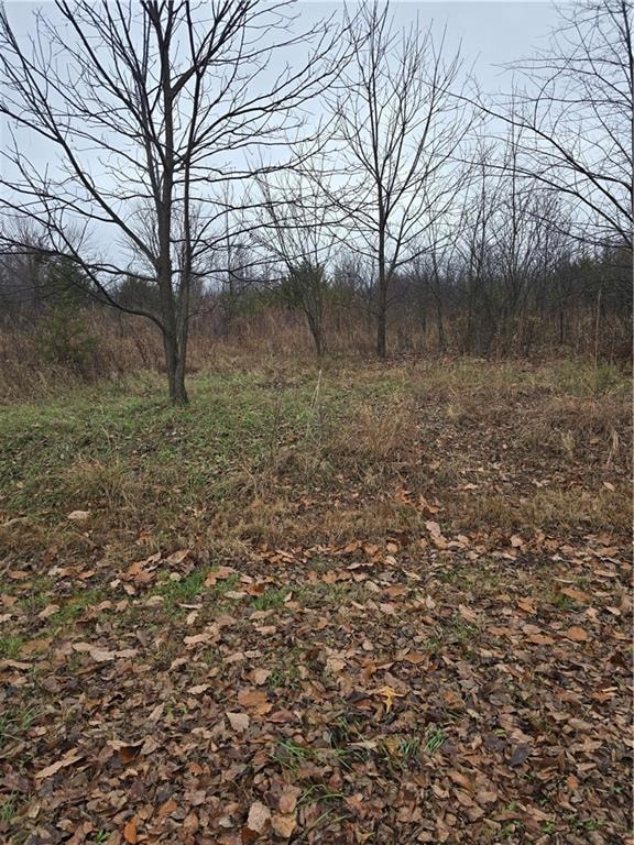 125 Woodcut Dr, Linn Valley, KS 66040 - photo 2