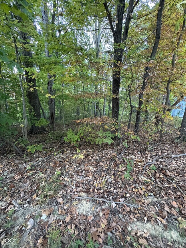 205 Stardust Way, Cloverdale, IN 46120 - photo 5