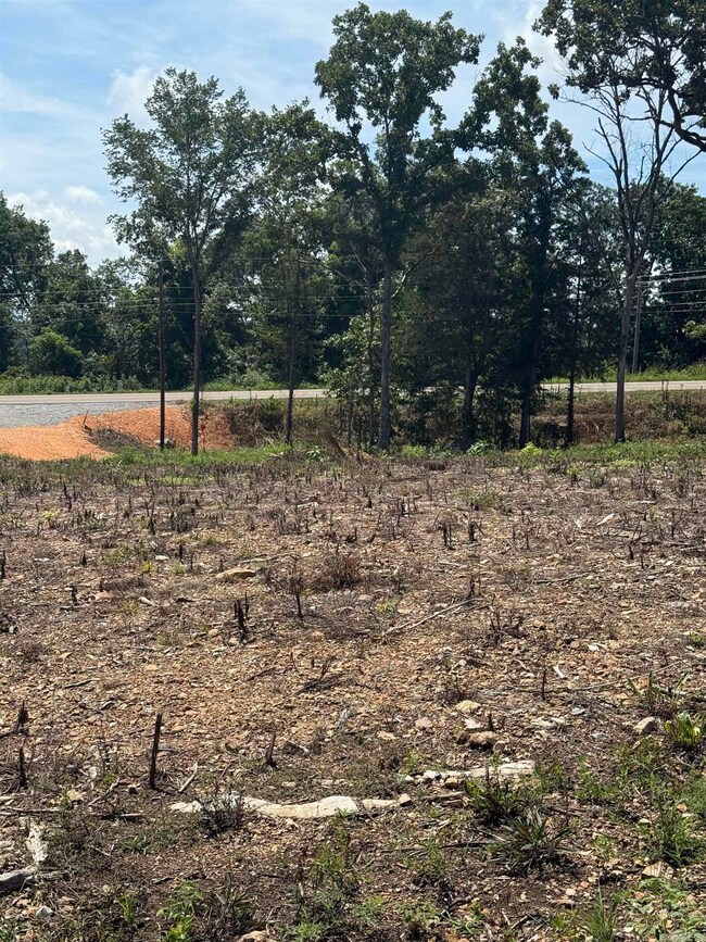 12952 Highway 5, Norfork, AR 72658 - photo 7