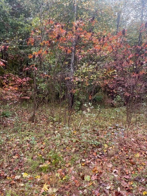 0 Cowhorne Hollow Rd unit RTC2300968, Prospect, TN 38477 - photo 4