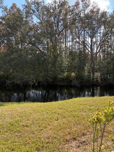 unlisted-address, Land O Lakes, FL 34637 - photo 5