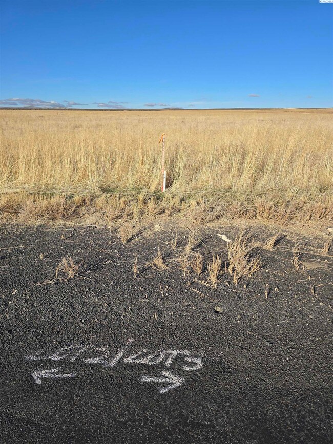 NKA N, Prosser, WA 99350 - photo 5