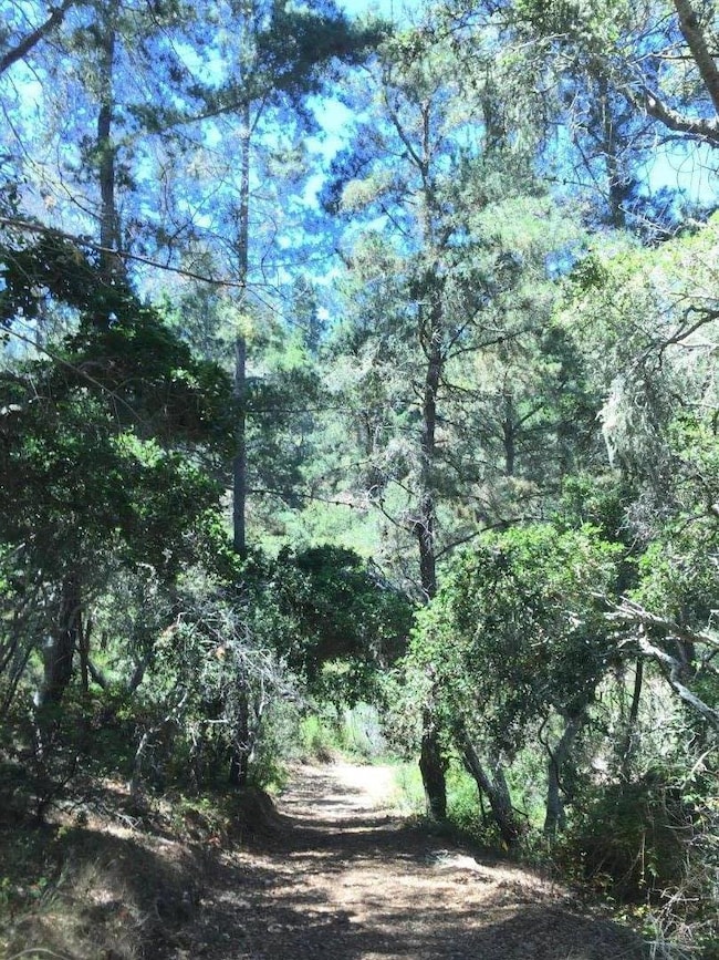 64 Marguerite (Tehama), Carmel, CA 93923 - photo 7