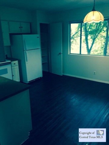 410 North St unit 205, San Marcos, TX 78666 - photo 2