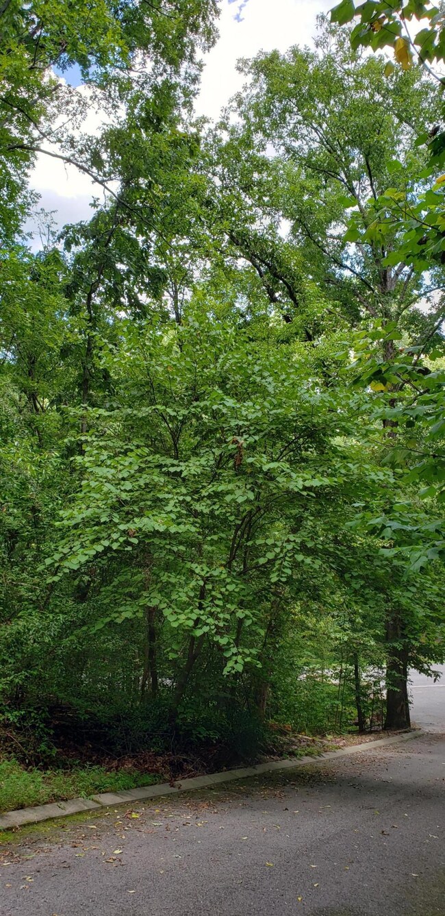 20190815_123247