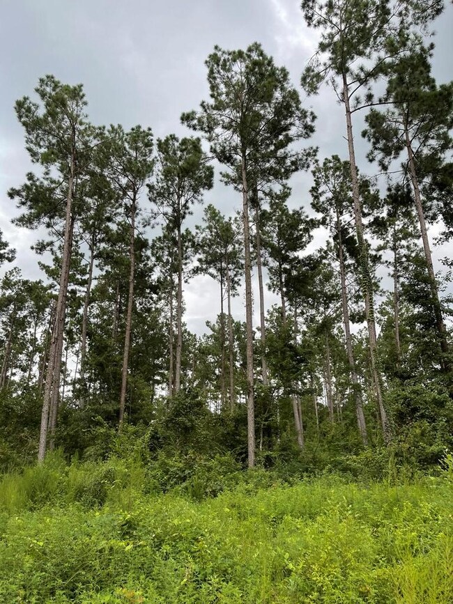 2235 Cr 620, Nacogdoches, TX 75964 - photo 3