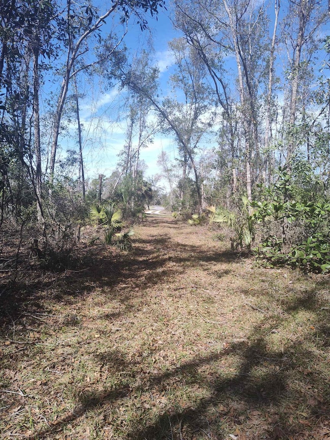 000 Strickland Landing Ct, Perry, FL 32348 - photo 5