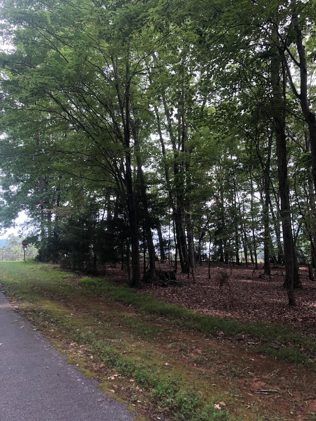 Lot 232 Lake Front Cir, Penhook, VA 24137 - photo 4