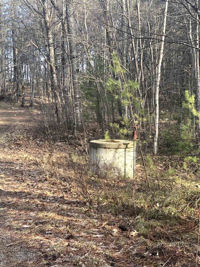 81 Duncan Lake Rd, Ossipee, NH 03864 - photo 3