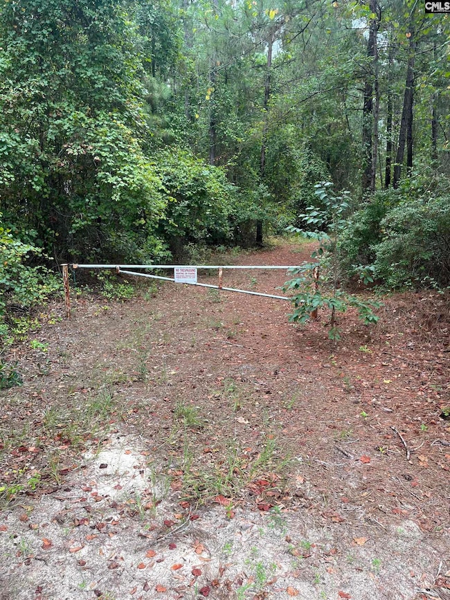 BHL 8 Boise Cascade Rd unit BHL 8, Bethune, SC 29009 - photo 5