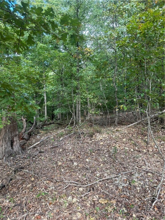 Lot 12 Blk 2 Bracknell Ln, Bella Vista, AR 72715 - photo 4