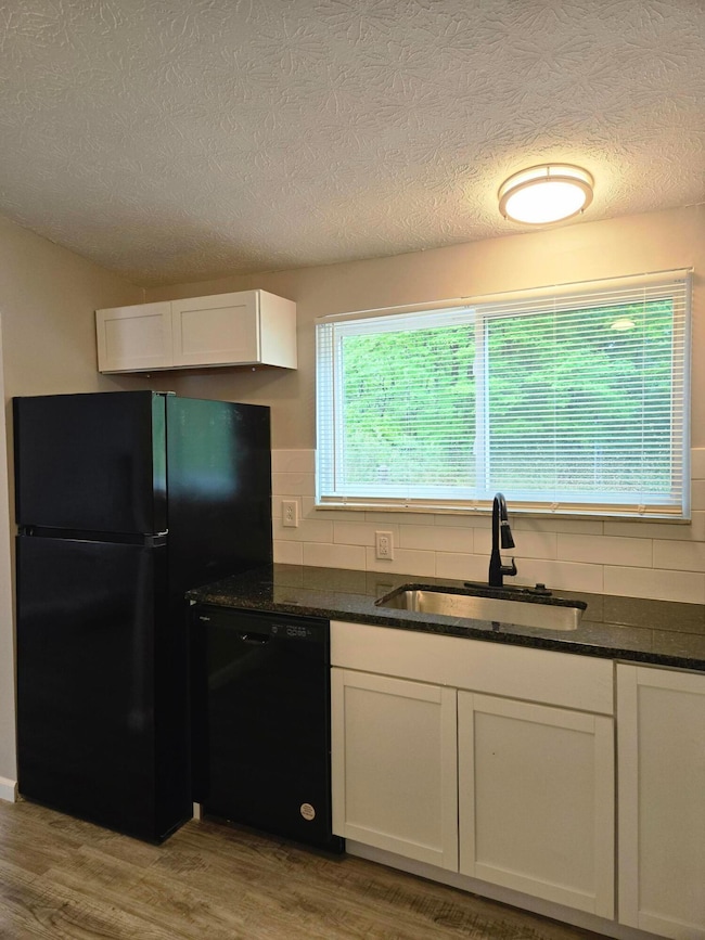 Rushmore-left kitchen