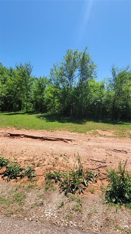 View of landscape featuring a view of trees