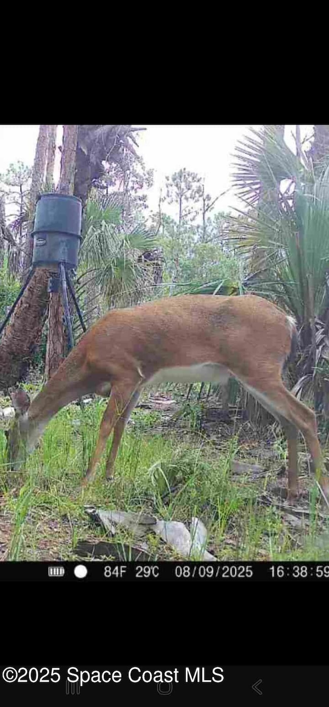 0 Unknown unit 1056008, Malabar, FL 32950 - photo 5