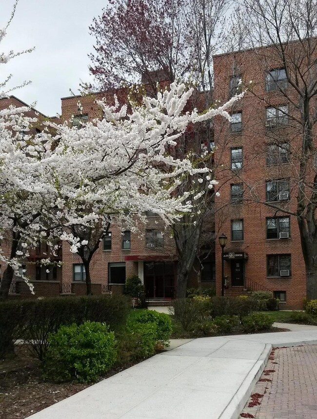 Front of Structure