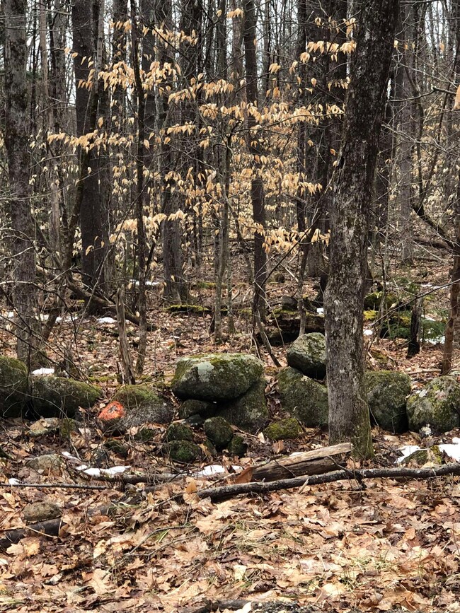 0 Turner Hill Rd unit Lot 17-1 4991047, Antrim, NH 03440 - photo 2