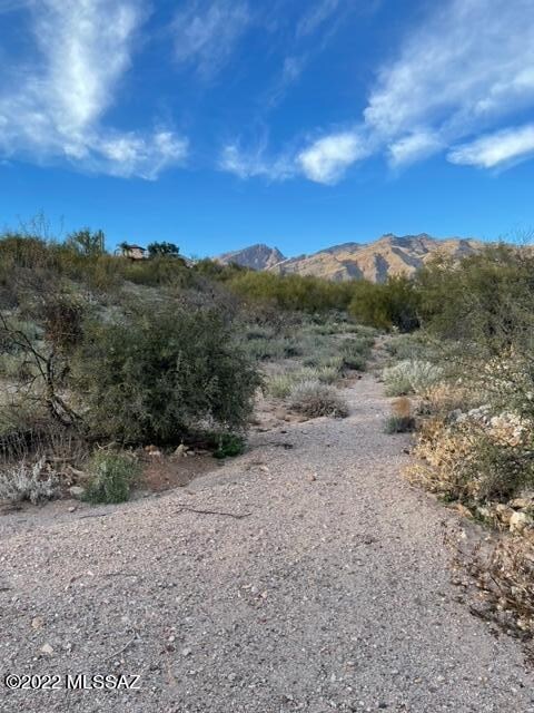 image10 (1)