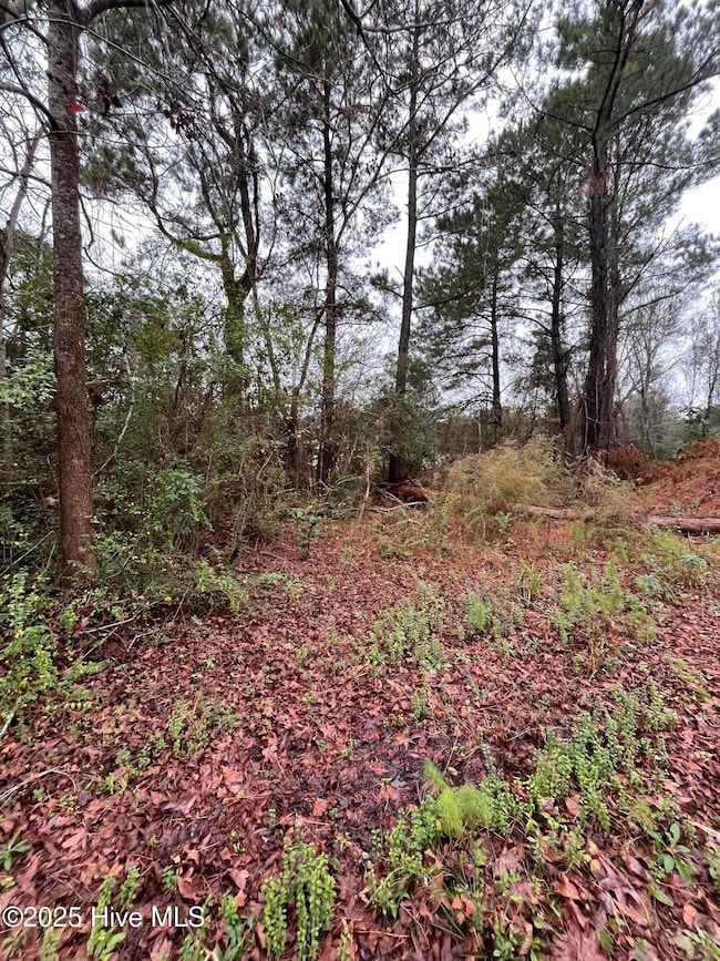 202 South, Beaufort, NC 28516 - photo 4