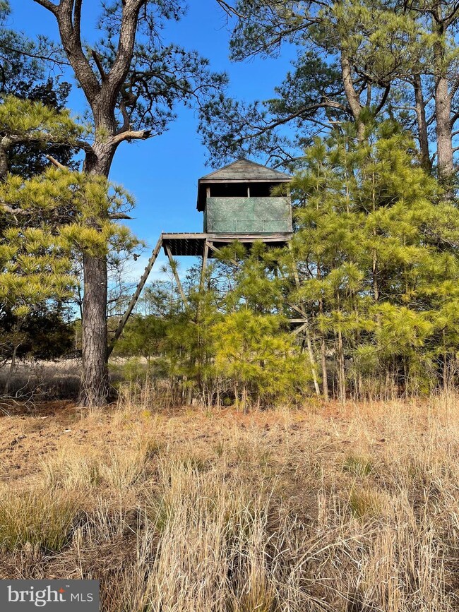 2434 Wesley Church Rd, Crapo, MD 21626 - photo 3