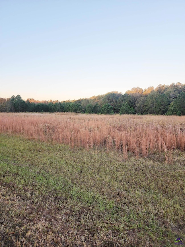 TRACT C-1A LL 2 Kersey Rd, Elko, GA 31025 - photo 3