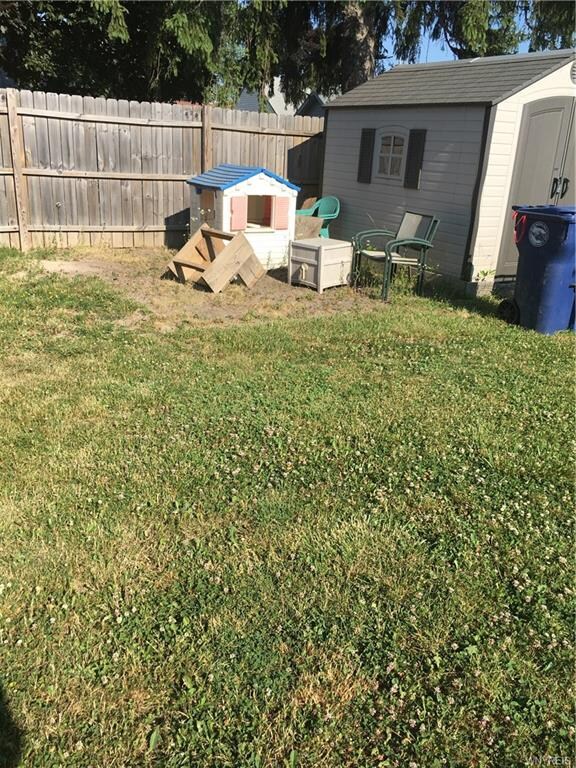 back yard and new shed