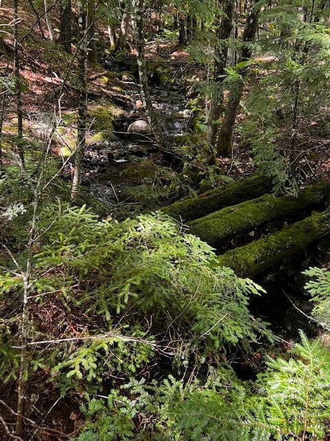 302 Pond Rd, Wilton, ME 04294 - photo 6