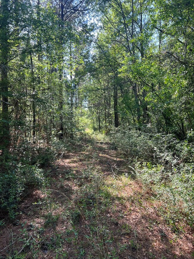 1049 Candy Ln, McComb, MS 39648 - photo 6