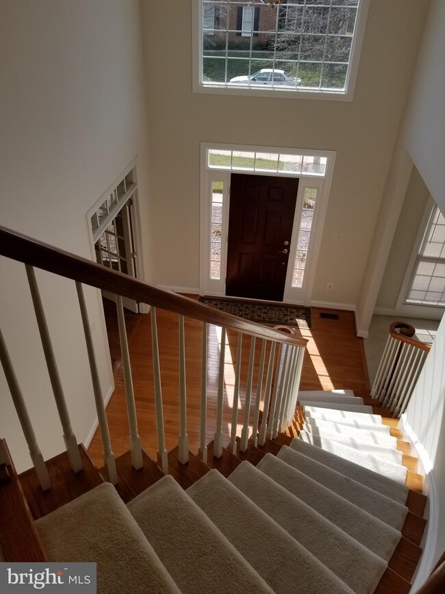 43438 Mountcastle Dr, Chantilly, VA 20152 - photo 7