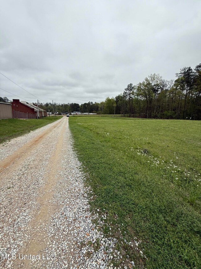 Shared Gravel Road