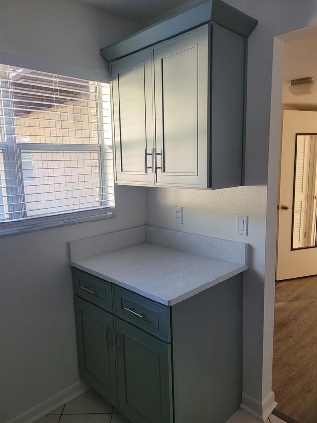 10485 Carrollbrook Cir unit 120, Tampa, FL 33618 - photo 6