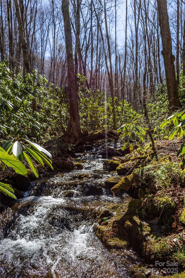 Lot 50 Bearwallow Ridge Trail unit 50, Qualla, NC 28779 - photo 2