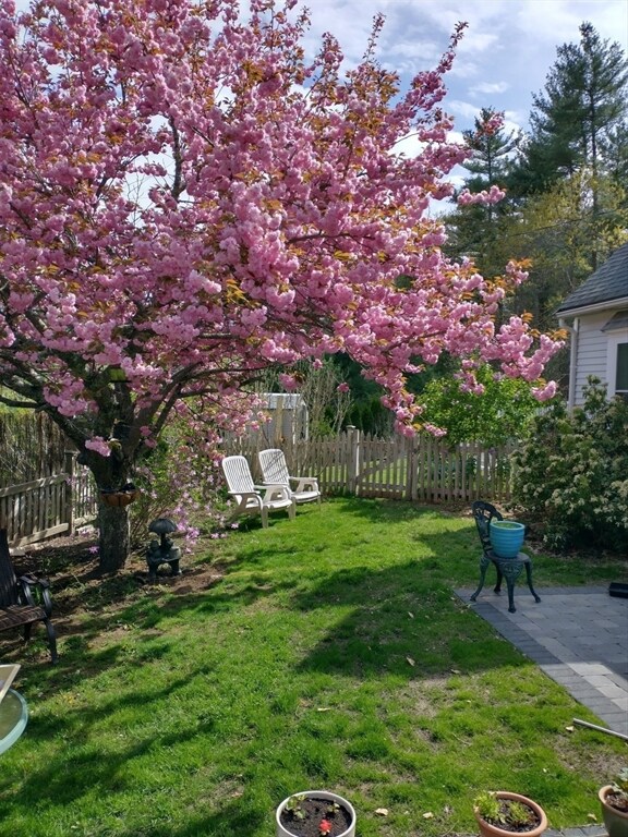 5 Terry Ln, Bridgewater, MA 02324 - photo 5