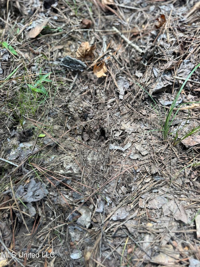 0 Doe Ridge Highland, Lucedale, MS 39452 - photo 5