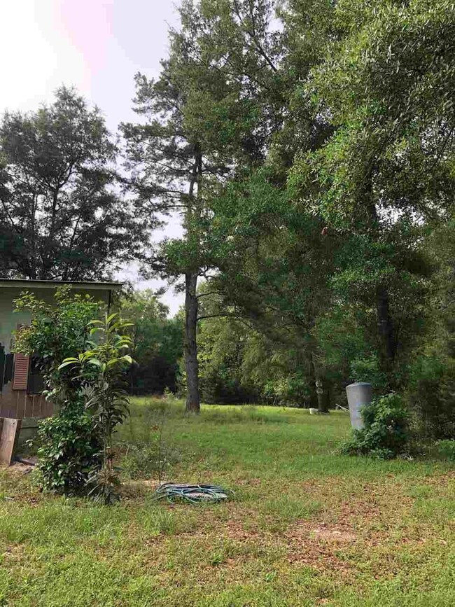 0 Hoot Owl Hollow unit 318526, Crawfordville, FL 32327 - photo 5