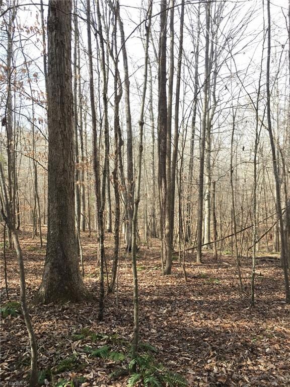 Tract 3 Moonlight Meadow Rd, Asheboro, NC 27205 - photo 7