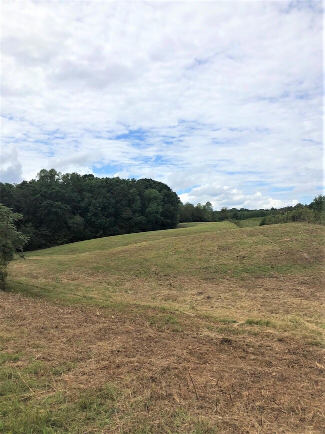 0 Salem Minor Hill Rd unit 1966616, Minor Hill, TN 38473 - photo 4