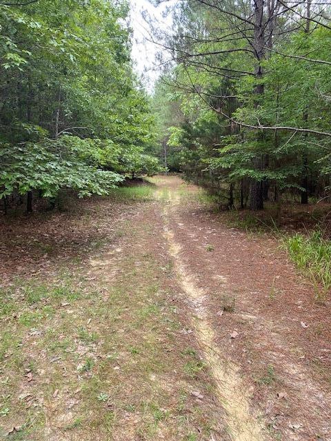 TBA County Road 435, Oxford, MS 38655 - photo 1